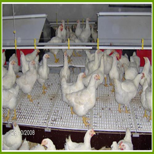 تله تخمگذاری اتوماتیک والا صنعت ناب