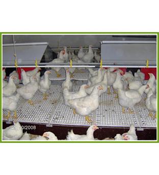 تله تخمگذاری